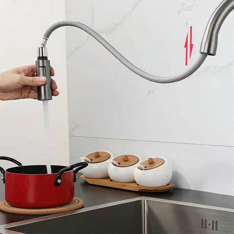 Modern 1-Handle Faucet Pull out Sprayer Standard Kitchen Faucet