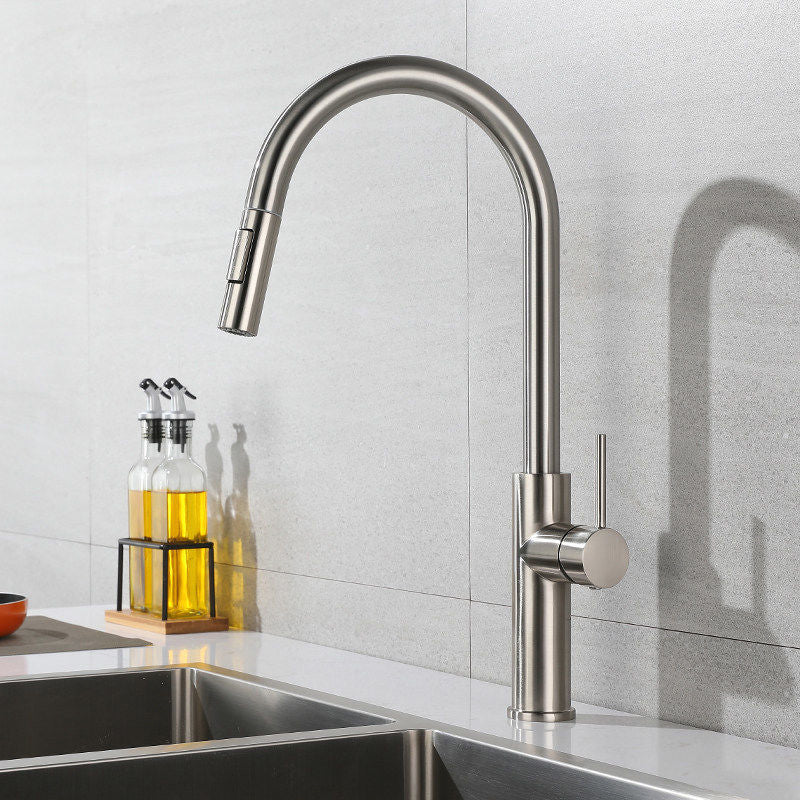 Modern 1-Handle Faucet Pull out Sprayer Standard Kitchen Faucet