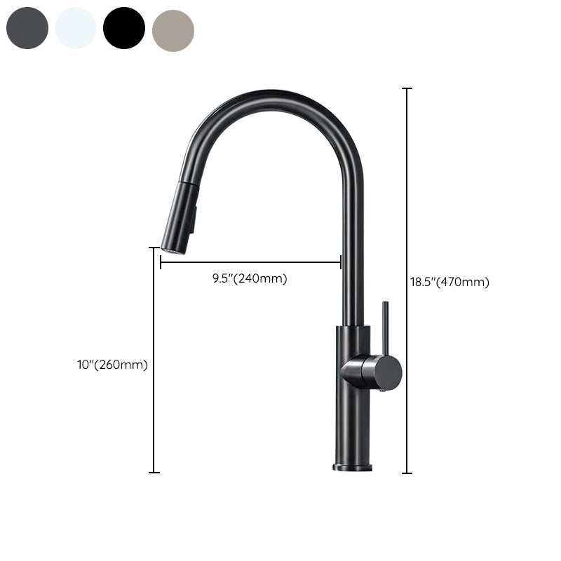 Modern 1-Handle Faucet Pull out Sprayer Standard Kitchen Faucet