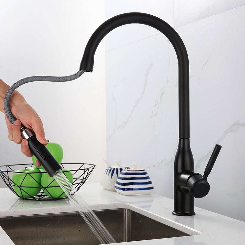 Modern Standard Kitchen Faucet Gooseneck Kitchen Faucet with One Handle