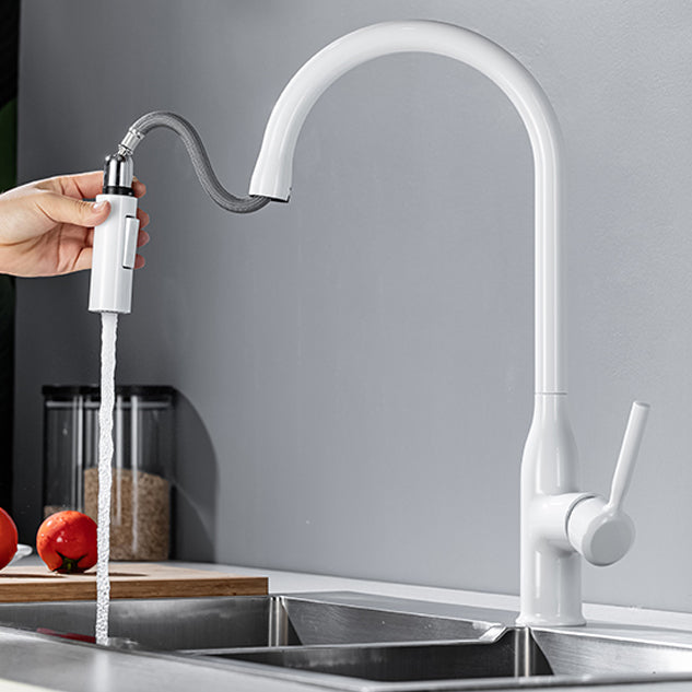 Modern Standard Kitchen Faucet Gooseneck Kitchen Faucet with One Handle