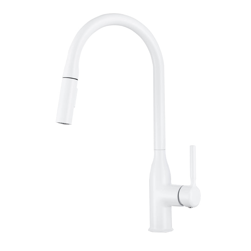 Modern Standard Kitchen Faucet Gooseneck Kitchen Faucet with One Handle