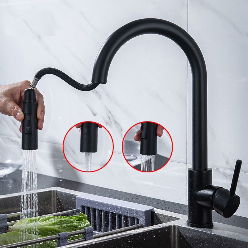 Modern Style Kitchen Faucet Gooseneck Kitchen Faucet with Pull down Sprayer