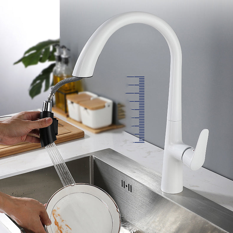 Modern Style Kitchen Faucet Gooseneck Standard Kitchen Faucet