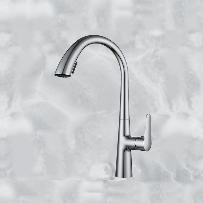 Modern Style Kitchen Faucet Gooseneck Standard Kitchen Faucet