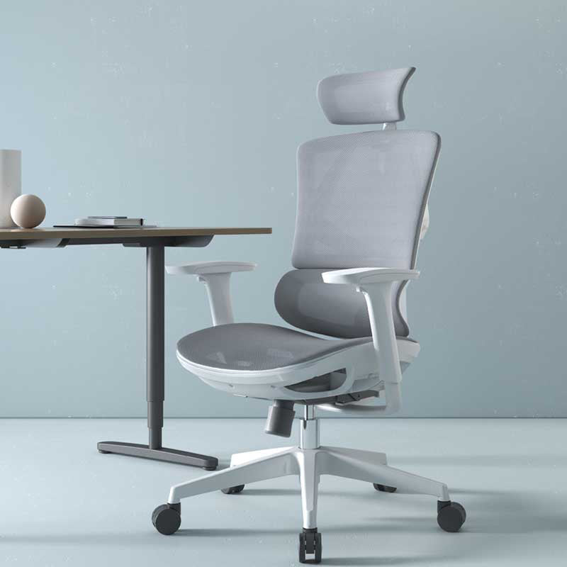 Modern Fixed Arms Desk Chair Height-adjustable Task Chair for Office