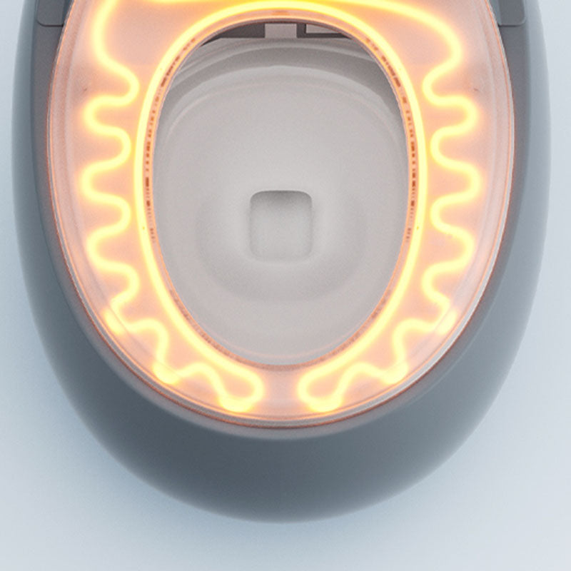 Solid Color Egg Shaped Electronic Toilet Elongated Floor Standing Bidet in Tankless