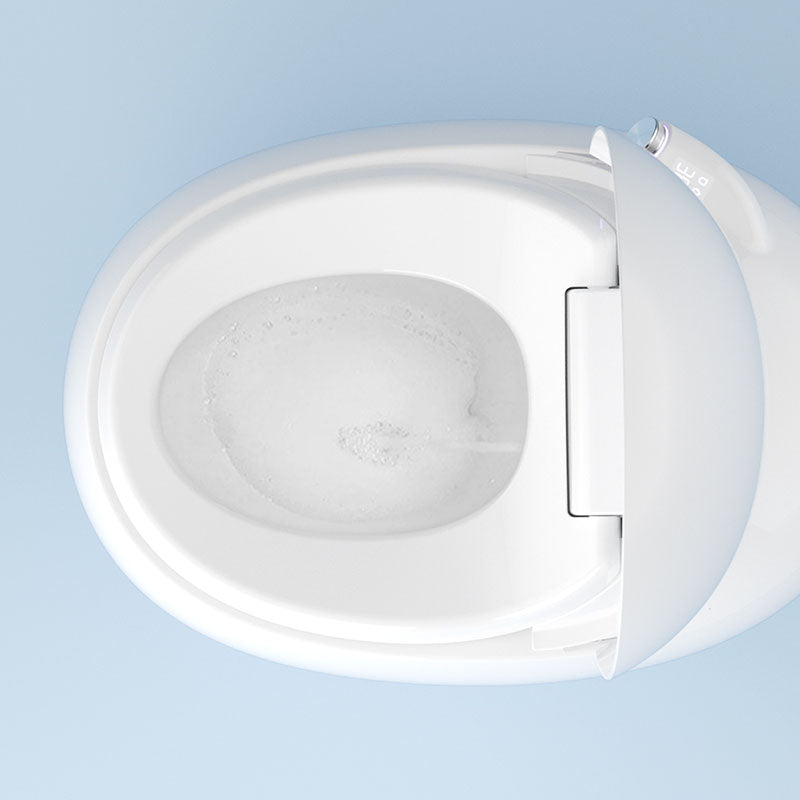 White Egg Shaped Electronic Elongated Toilet Floor Standing Bidet