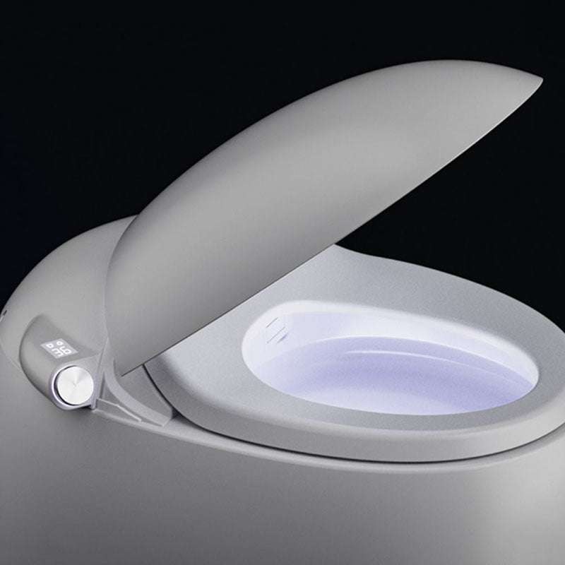 White Egg Shaped Electronic Elongated Toilet Floor Standing Bidet