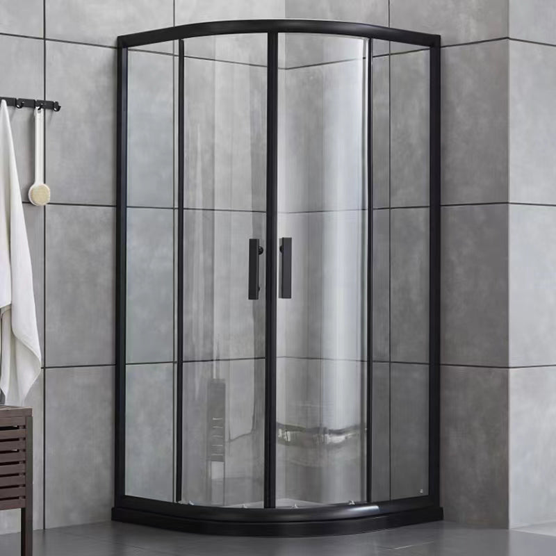 Tempered Glass Shower Stall with Fixed Panel Rounded Shower Stall