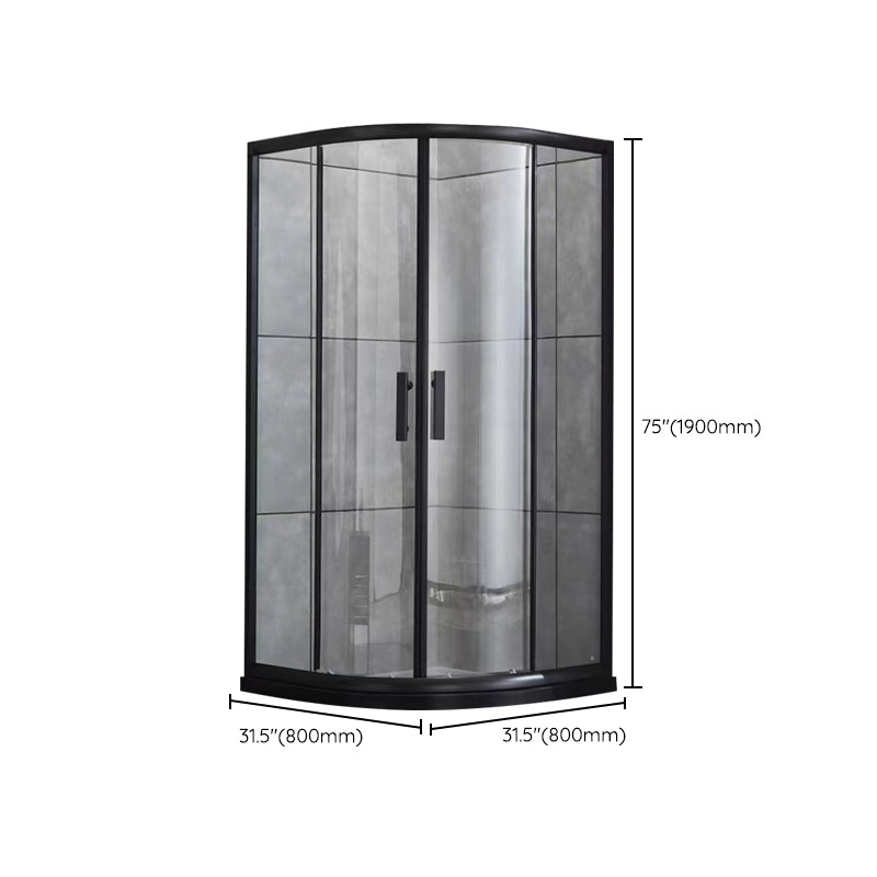 Tempered Glass Shower Stall with Fixed Panel Rounded Shower Stall