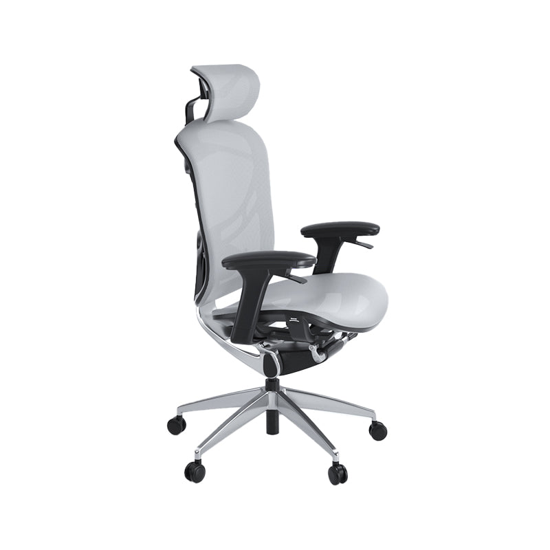 Modern Mesh Executive Chair Adjustable Arms Executive Chair for Office