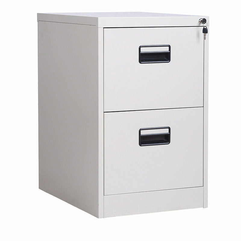 Vertical File Cabinet Metal Simple File Cabinet with Drawers for Office