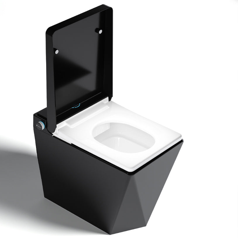 Heated Seat All-in-One Bidet Elongated Stain Resistant Bidet