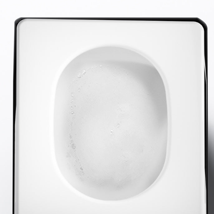 Heated Seat All-in-One Bidet Elongated Stain Resistant Bidet