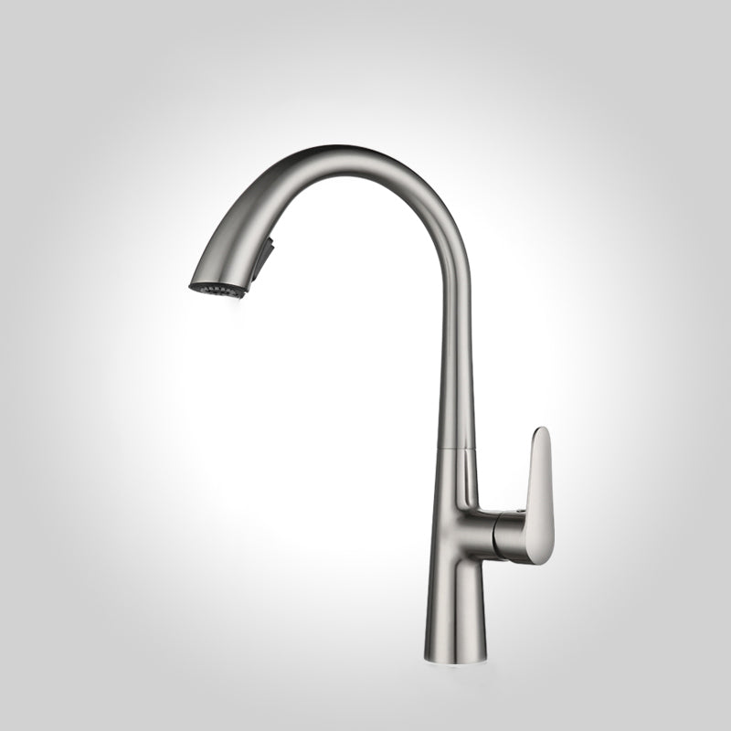 Modern Pot Filler Kitchen Faucet Brass Lever Handles Pull out Faucet Kitchen Faucet