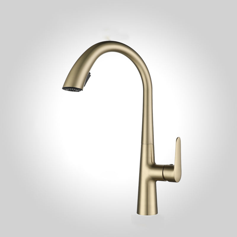 Modern Pot Filler Kitchen Faucet Brass Lever Handles Pull out Faucet Kitchen Faucet