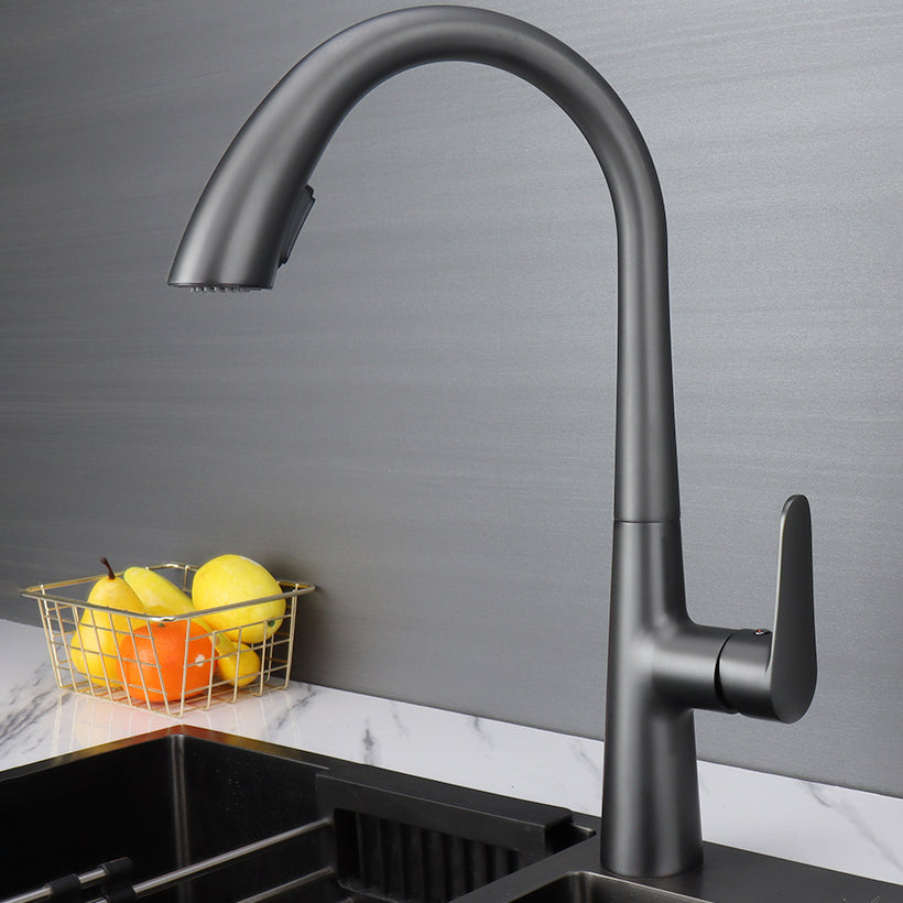 Modern Pot Filler Kitchen Faucet Brass Lever Handles Pull out Faucet Kitchen Faucet