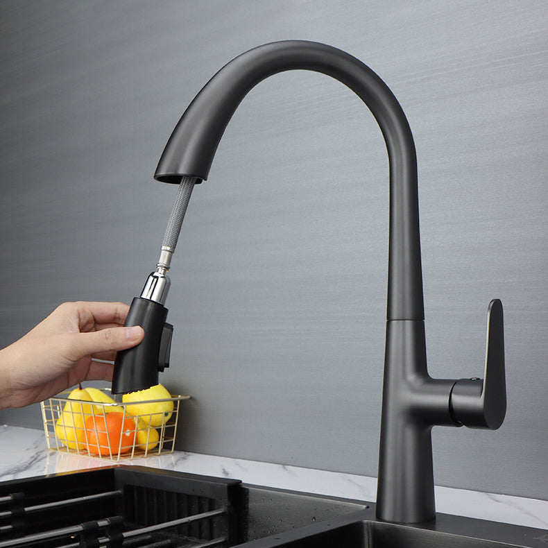 Modern Pot Filler Kitchen Faucet Brass Lever Handles Pull out Faucet Kitchen Faucet