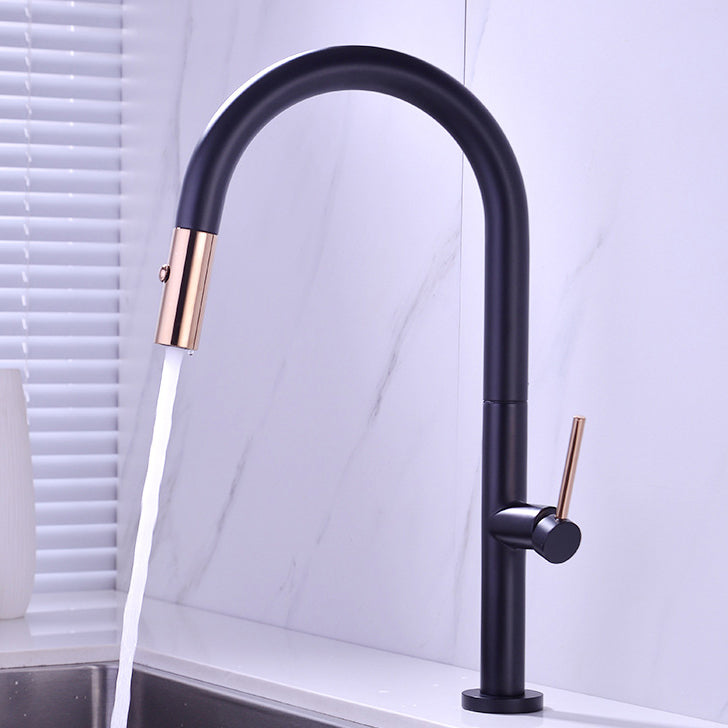 Modern Kitchen Faucet Brass Pull out Faucet with Sprayer and Magnetic Docking Pot Filler