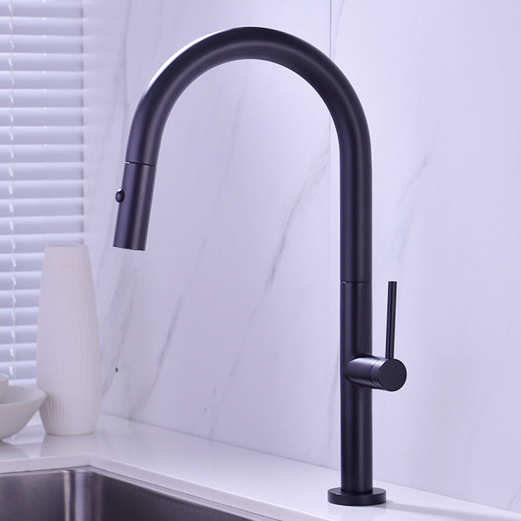 Modern Kitchen Faucet Brass Pull out Faucet with Sprayer and Magnetic Docking Pot Filler