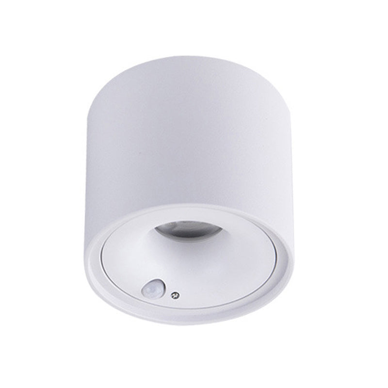 Modern in Black / White Flush 1 - Light Cylinder LED Ceiling Mount