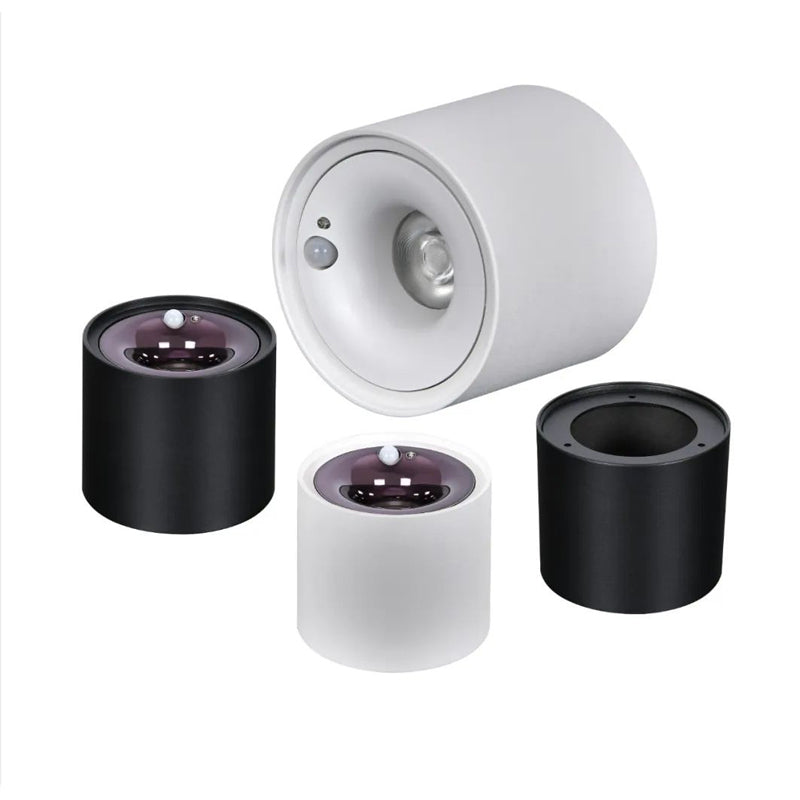 Modern in Black / White Flush 1 - Light Cylinder LED Ceiling Mount