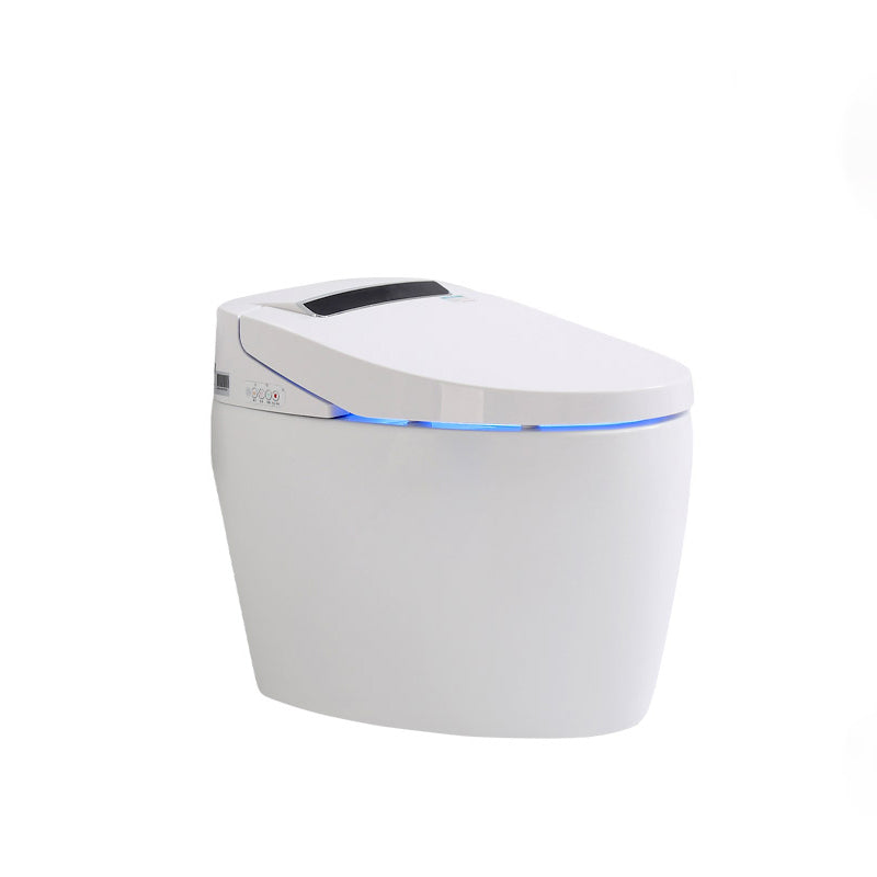 Contemporary Floor Standing Bidet in White Elongated  Toilet