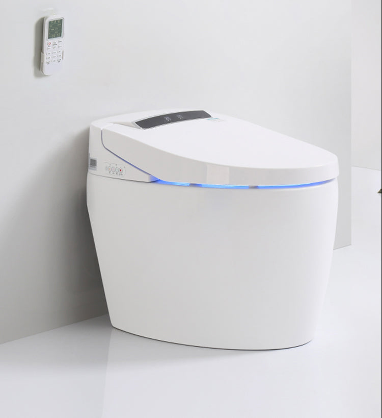 Contemporary Floor Standing Bidet in White Elongated  Toilet