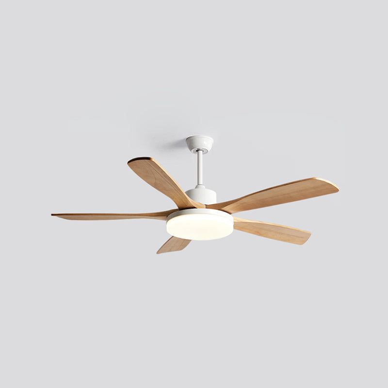 Contemporary Ceiling Fan Light Fixture Minimalist LED Ceiling Lamp for Bedroom