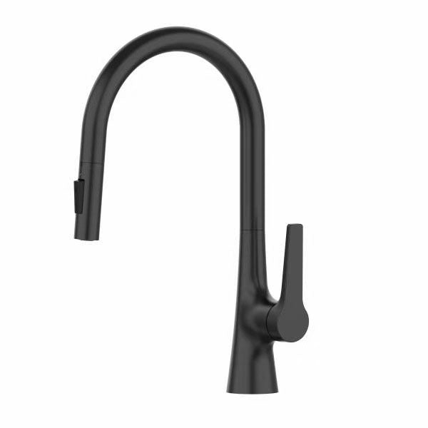 Contemporary Single Handle Standard Kitchen Faucet Pull Down 1-Hold Faucet