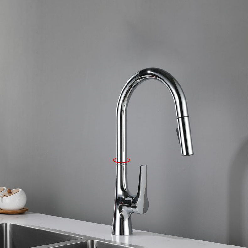 Contemporary Single Handle Standard Kitchen Faucet Pull Down 1-Hold Faucet