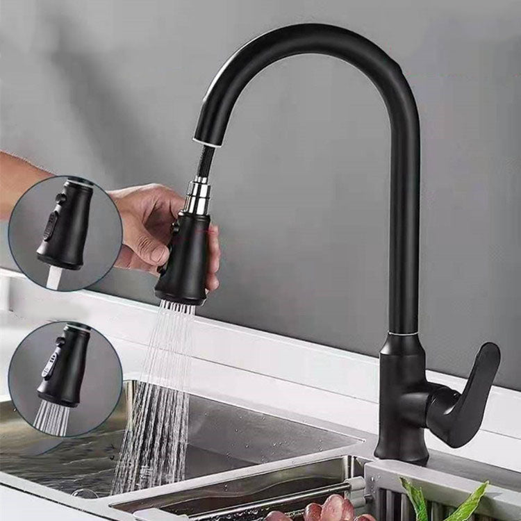 Gooseneck 1-Handle Faucet Copper with Pull out Sprayer with Water Dispenser Faucet