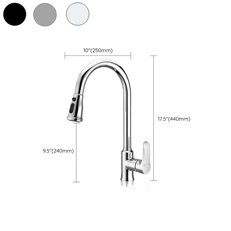 Gooseneck 1-Handle Faucet Copper with Pull out Sprayer with Water Dispenser Faucet