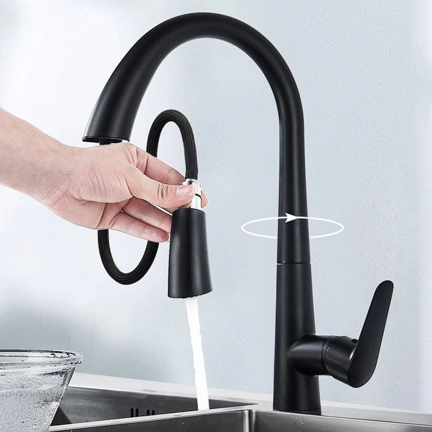 Modern 1-Handle Faucets Copper with Pull Out Sprayer Gooseneck Faucets