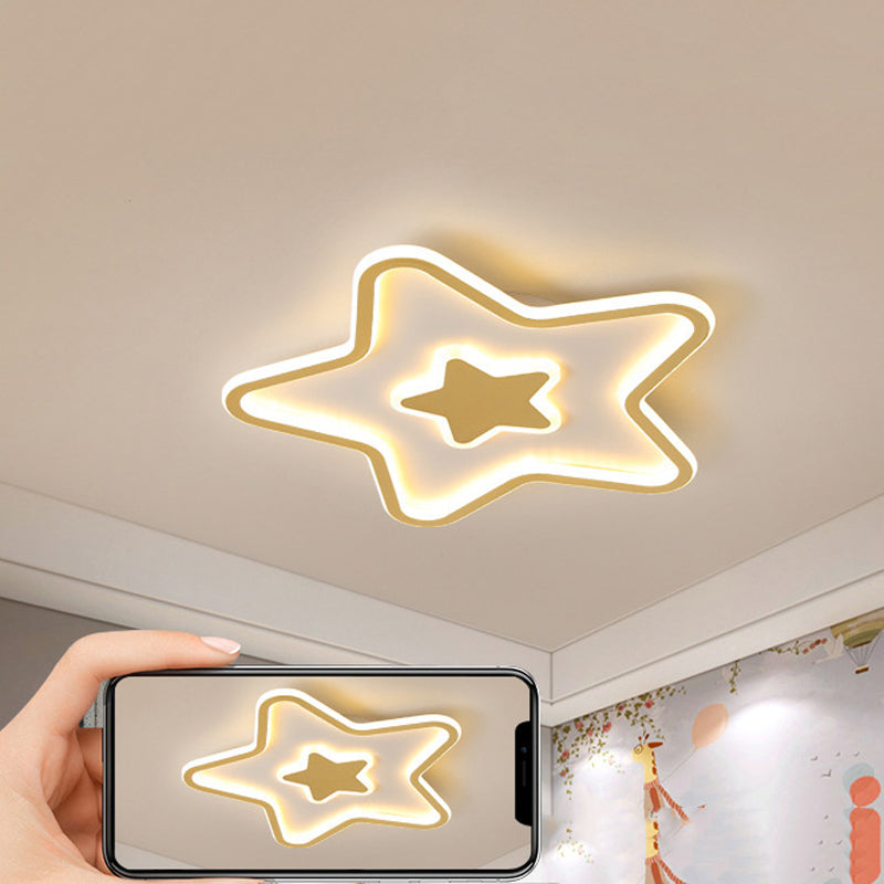 2-Light Golden Flush Mount Lighting LED Ceiling Light for Living Room