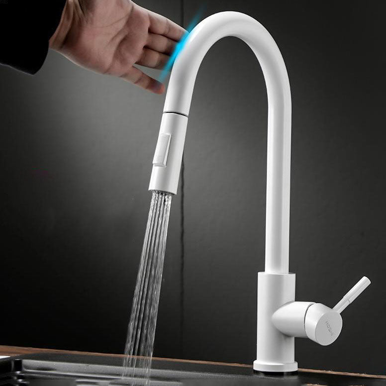 Contemporary Single Handle Kitchen Faucet 1-Hold Faucet with Pull out Sprayer