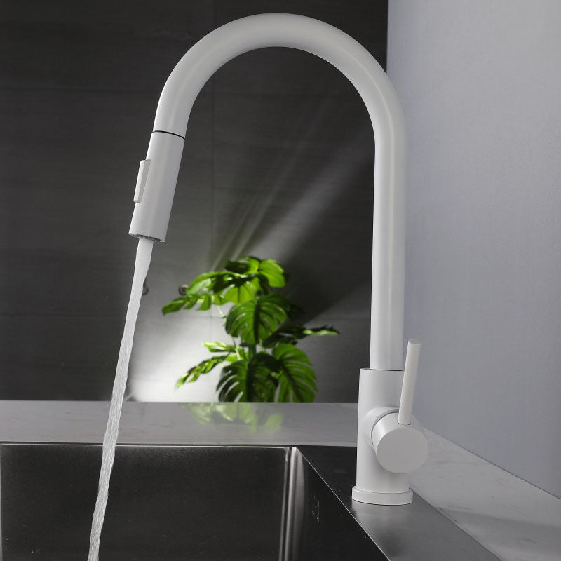 Contemporary Single Handle Kitchen Faucet 1-Hold Faucet with Pull out Sprayer