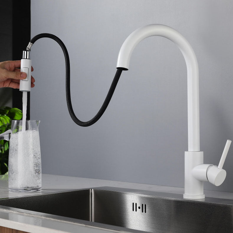 Contemporary Single Handle Kitchen Faucet 1-Hold Faucet with Pull out Sprayer