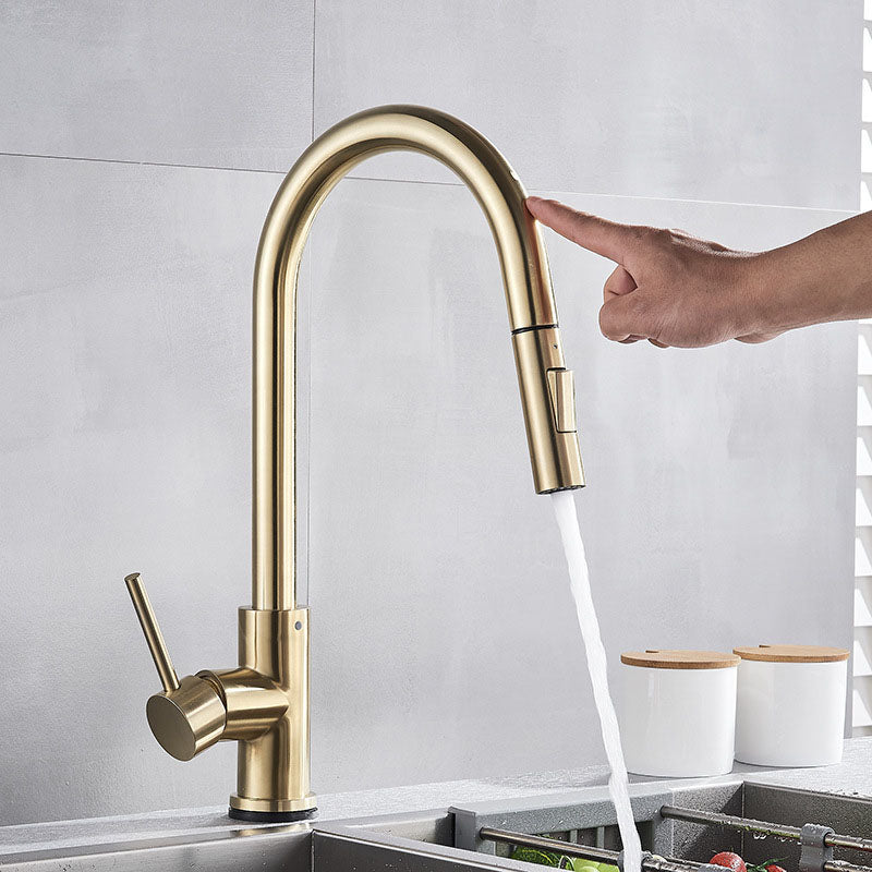 Contemporary Single Handle Kitchen Faucet 1-Hold Faucet with Pull out Sprayer