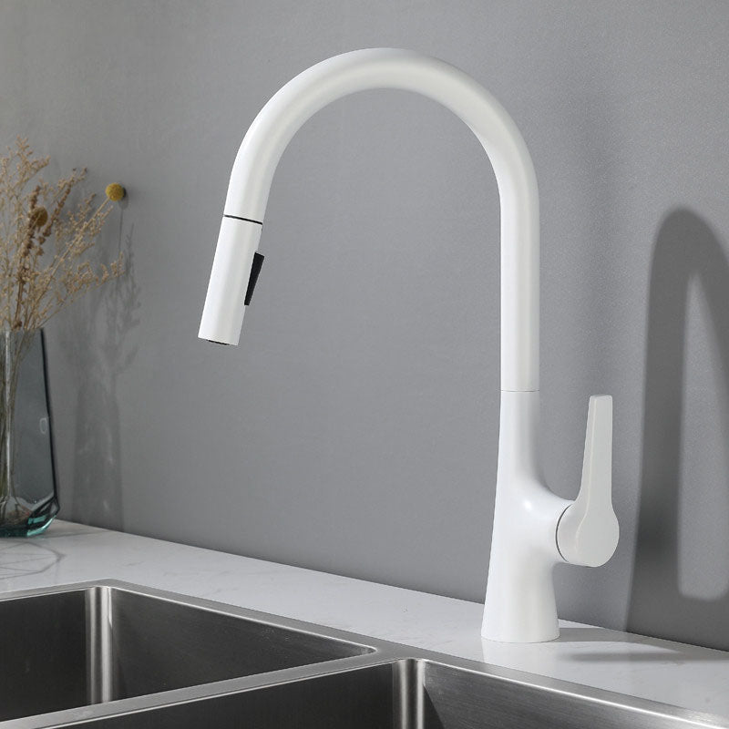 Contemporary Single Handle Kitchen Faucet Water Filler with Pull out Sprayer