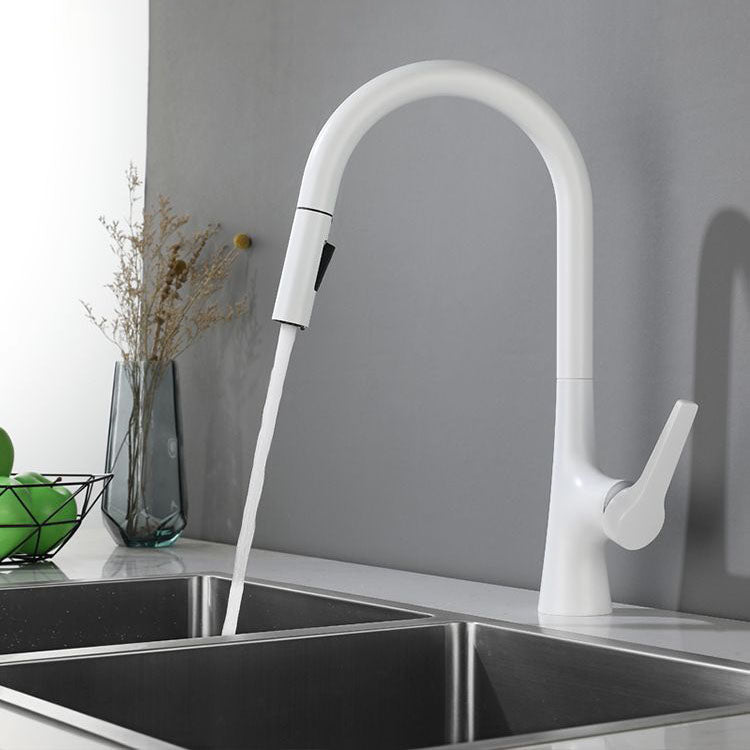 Contemporary Single Handle Kitchen Faucet Water Filler with Pull out Sprayer