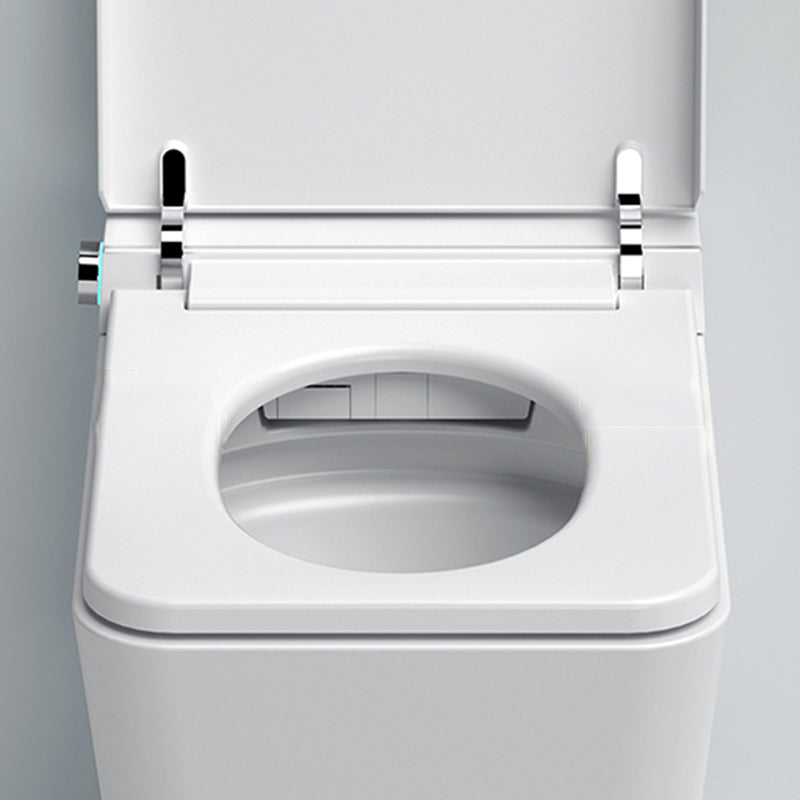 Corrosion Resistant Bidet in Whiter Rust Resistant Smart Toilet