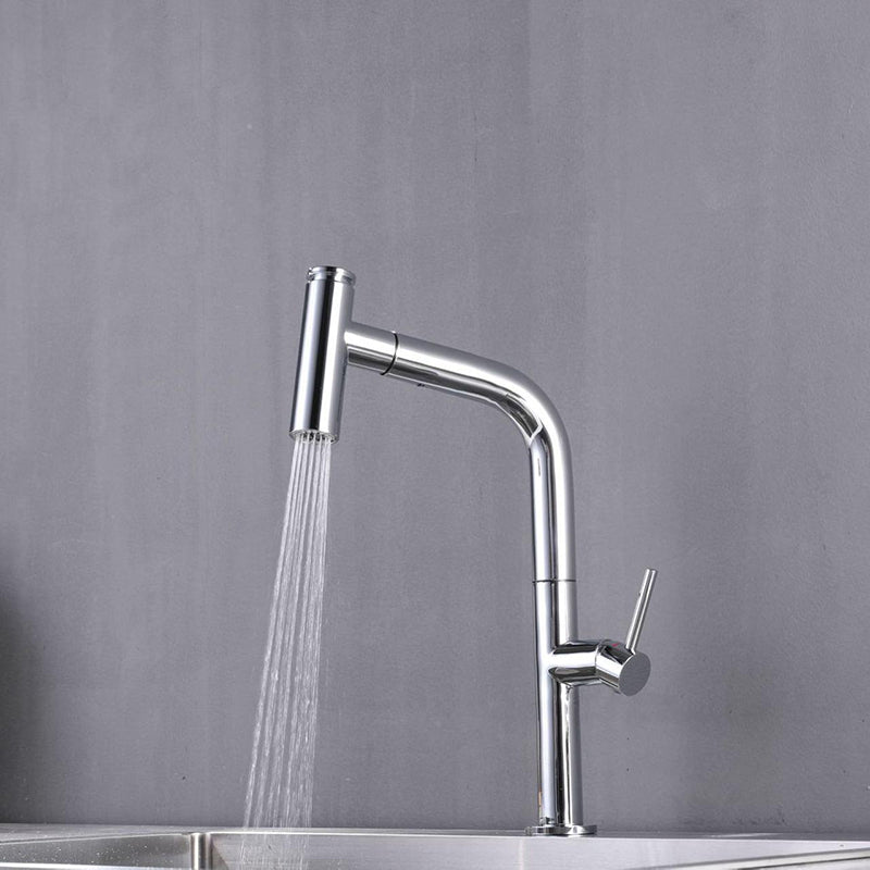 Modern Pull Down Single Handle Kitchen Faucet 1 Hold Faucet with Pull Out Sprayer