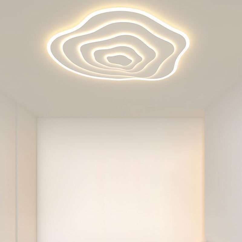 LED Flush Mount Lighting Contemporary Acrylic Ceiling Light for Home