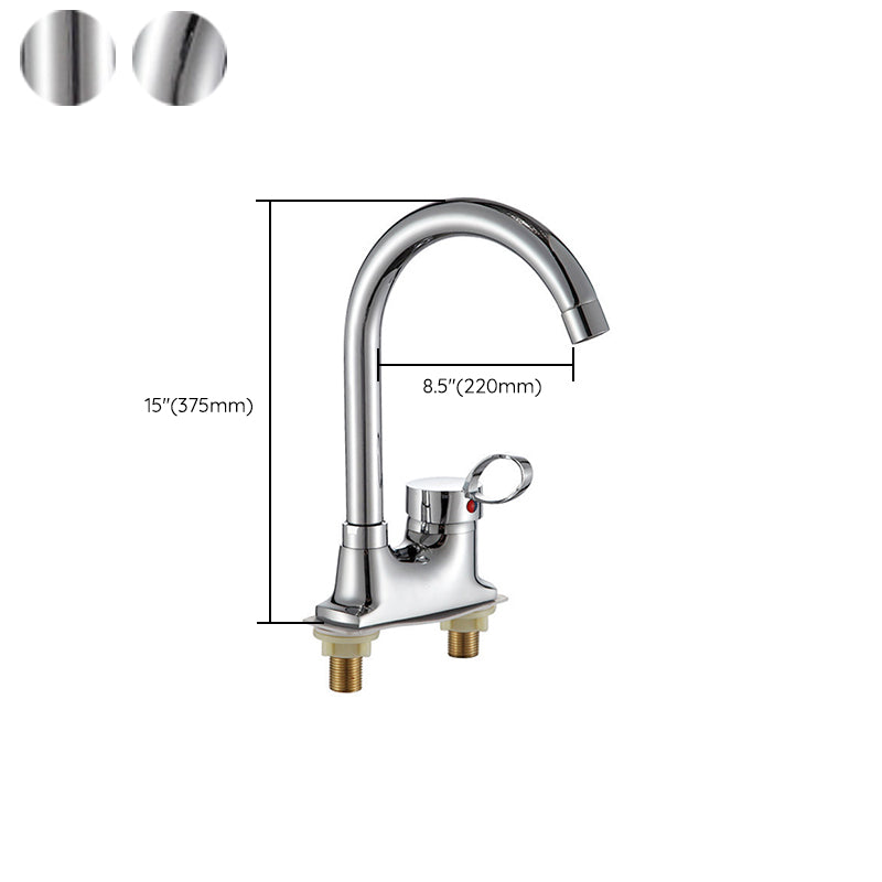 Modern 1-Handle Faucet with Water Dispenser Gooseneck Standard Kitchen Faucet