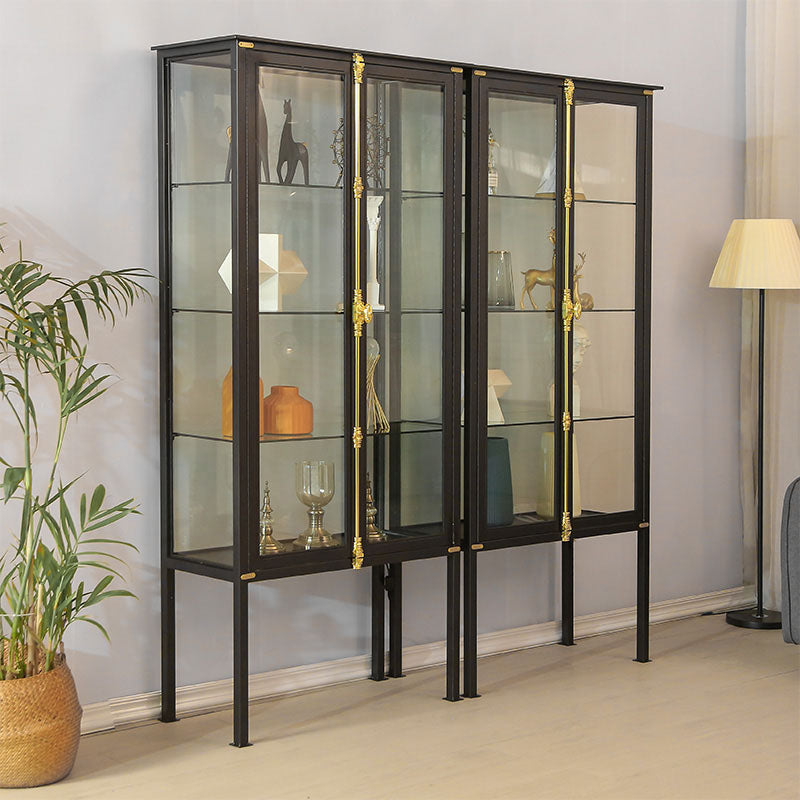 Modern Curio Cabinet Metal Glass Doors Storage Cabinet with Lighting