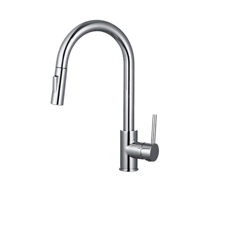 Gooseneck Kitchen Sink Faucet Swivel Spout with Pull down Sprayer