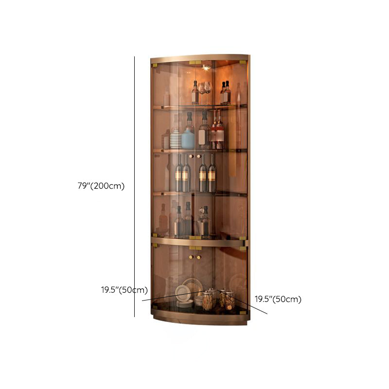 Contemporary Glass Doors Curio Cabinet Metal Storage Cabinet with Lighting