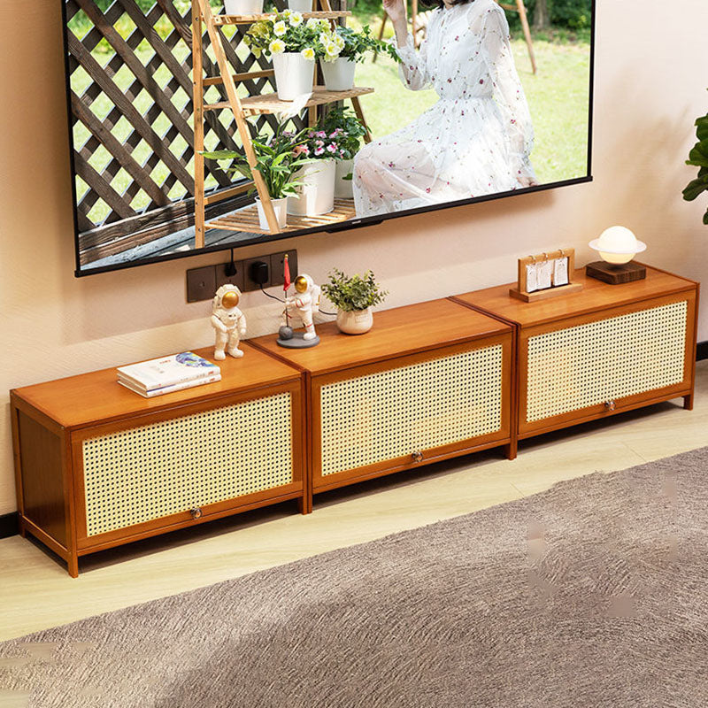 Enclosed Storage TV Console Scandinavian TV Media Console for Living Room